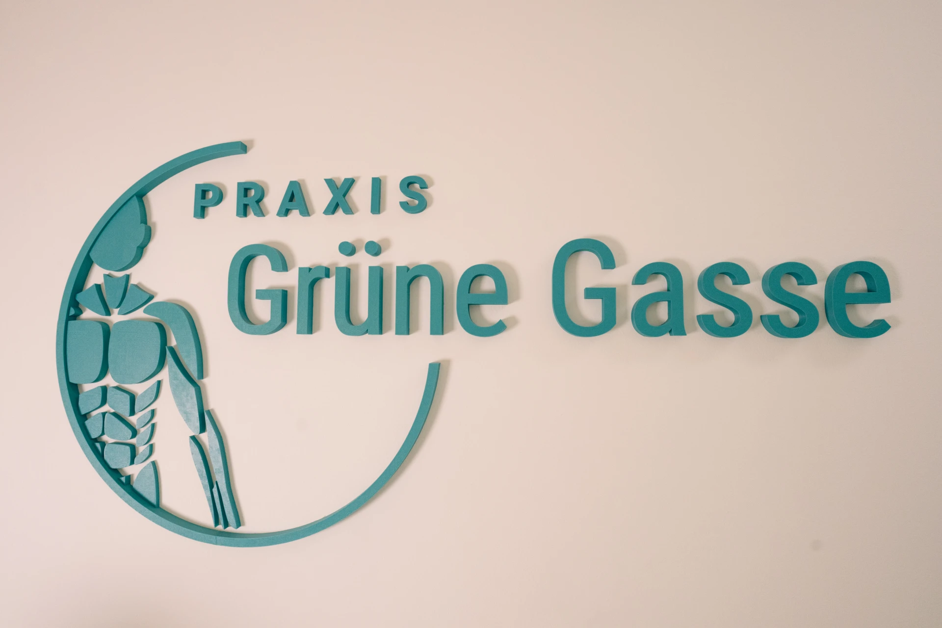 Logo der Praxis Grüne Gasse für Ergotherapie und Handtherapie in Graz